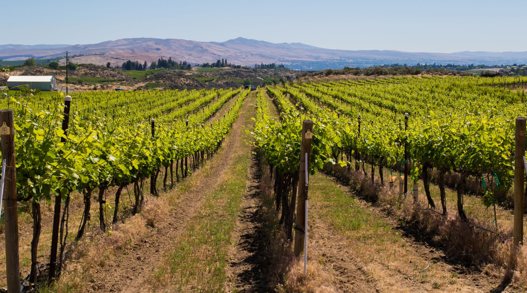 Gregory Kovsky | Selling a Pacific Northwest Winery